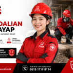 Jasa Pembasmi Rayap Garansi 5 Tahun