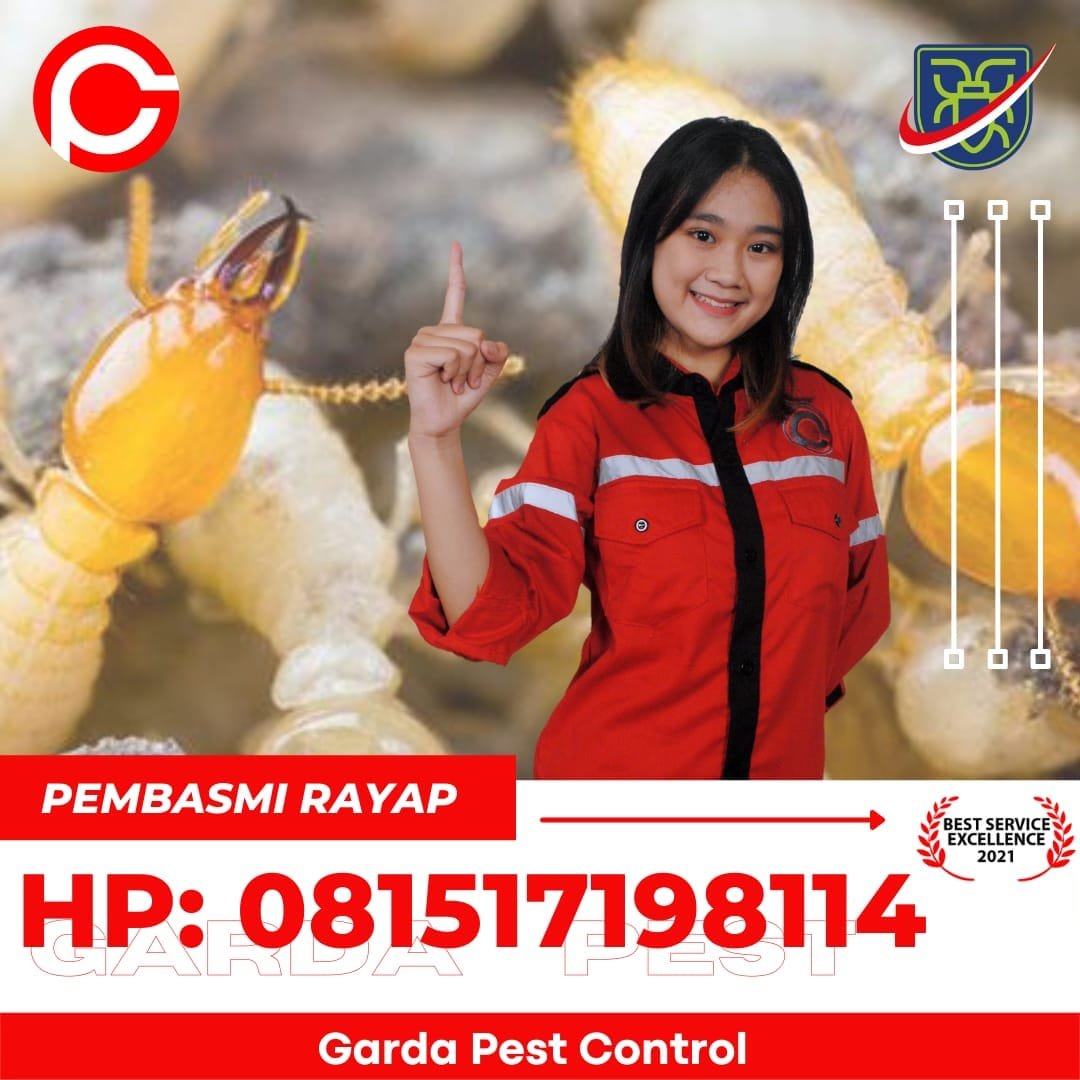 Jasa Anti Rayap di Jogja