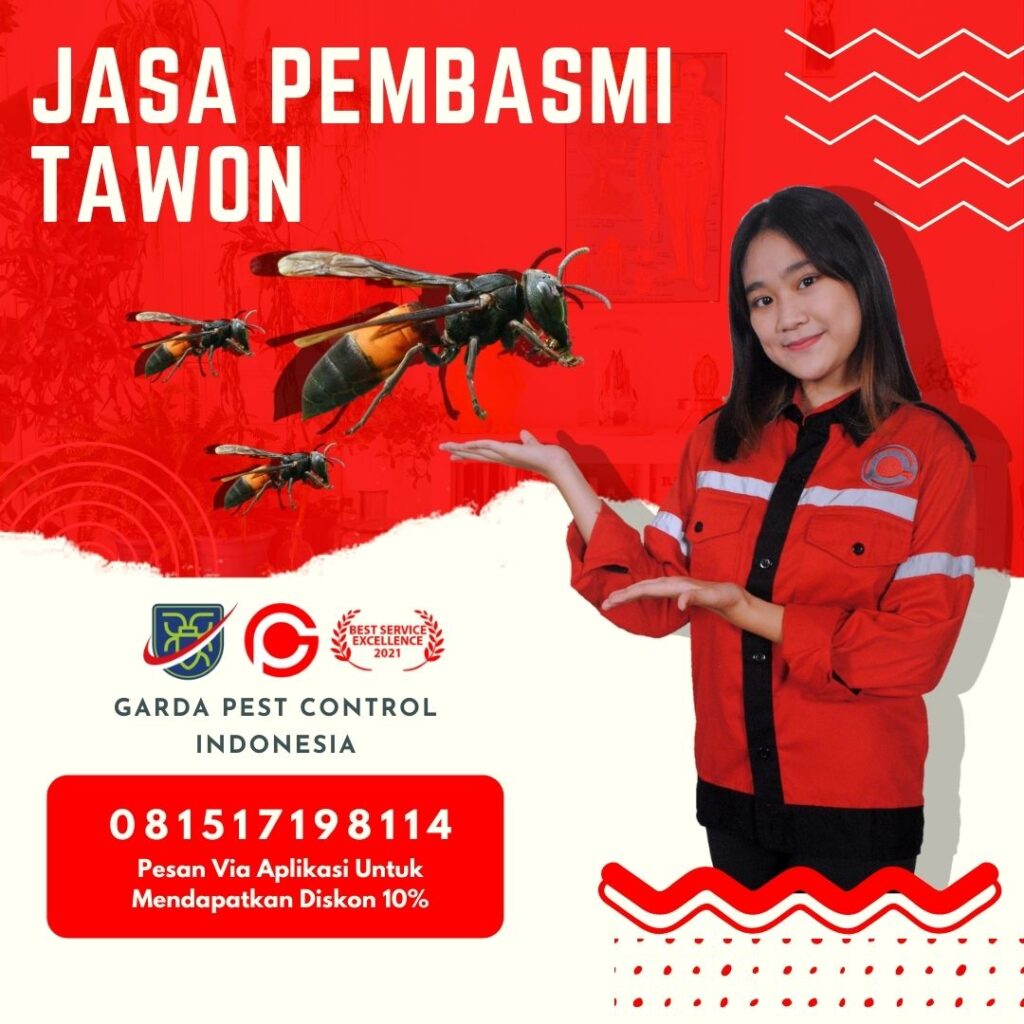 Tukang Semprot Tawon Bandung