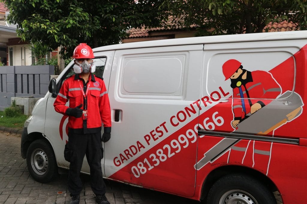 5 Cara Mengatasi Larva Nyamuk di Bak Mandi 