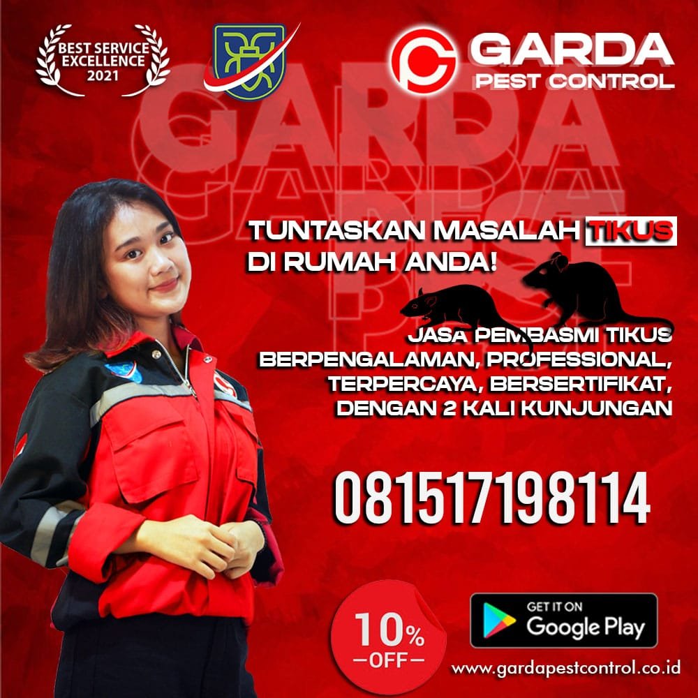 Pest Control Tikus Berkualitas