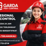 Jasa Pest Control Bantul Pengendalian Hama Urban No.1