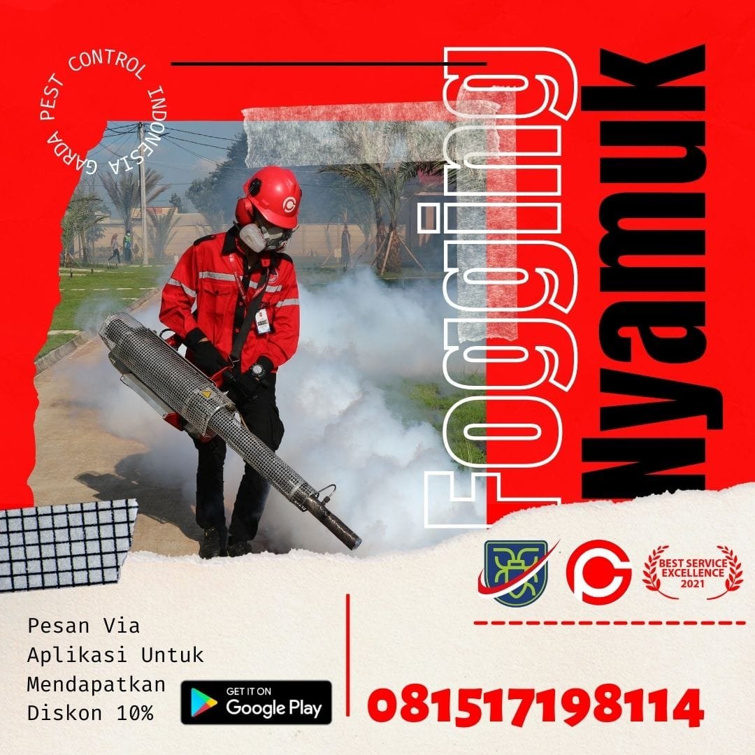 Jasa Fogging Nyamuk DBD di Bandung