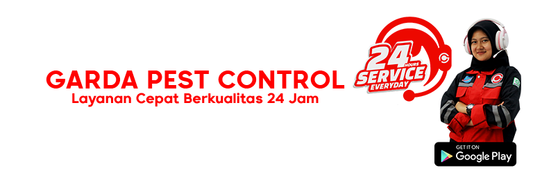 Jasa Pest Control di Palu