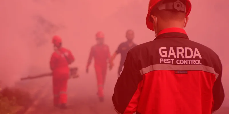 Garda Pest Control Indonesia