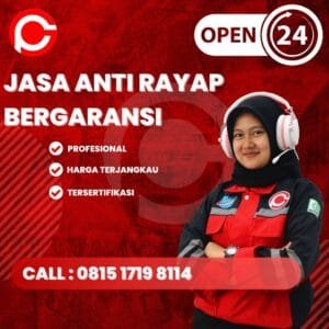 Jasa Semprot Rayap di Bandung Kota