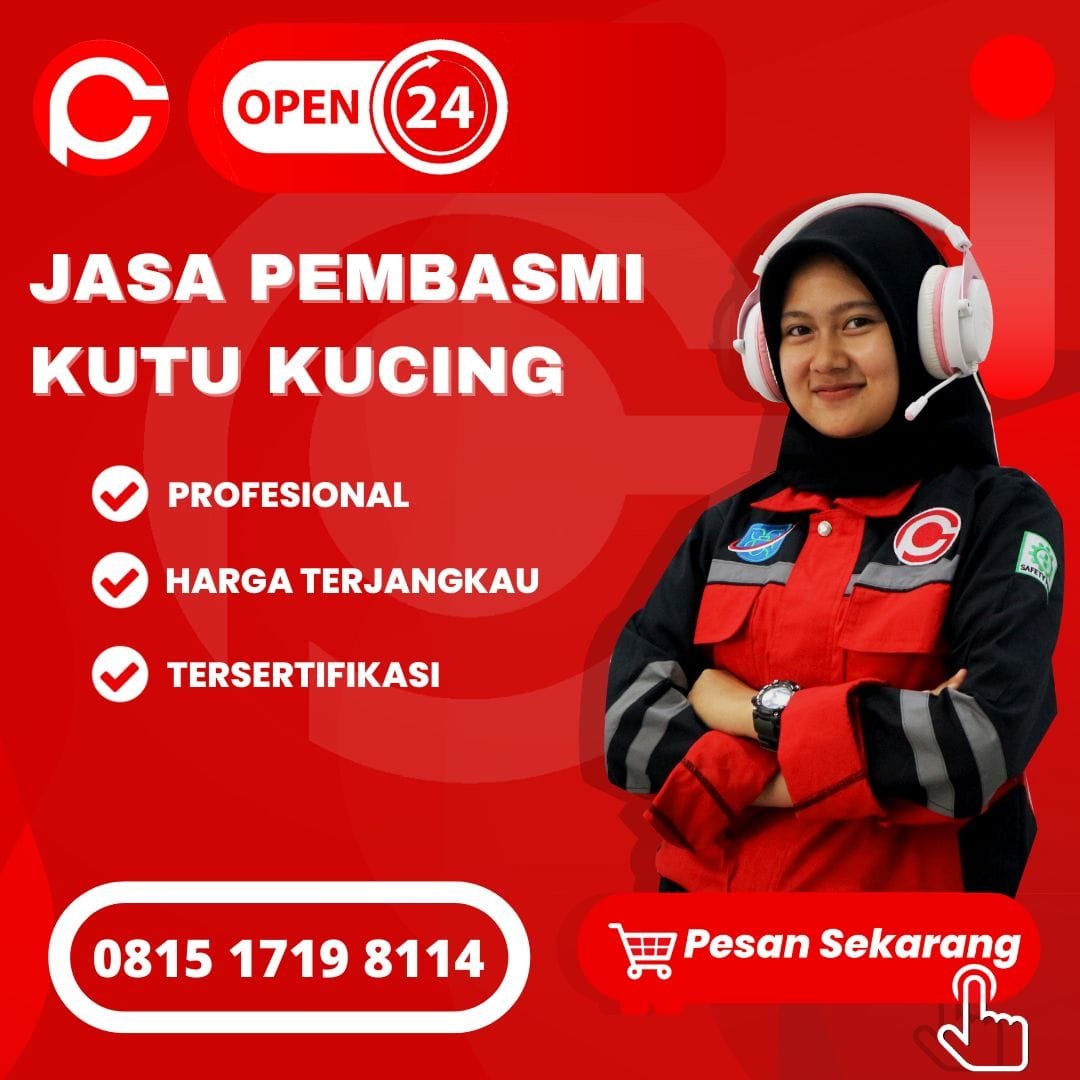 Jasa Basmi Kutu Kucing Kota Boyolali