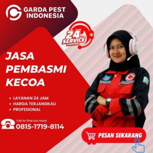 Jasa Usir Kecoa di Semarang Pusat