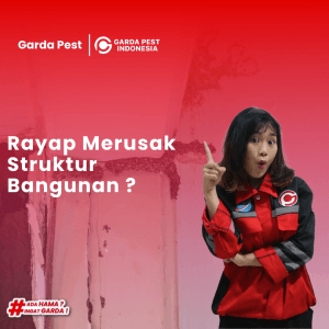 Masalah-Rayap-Merusak-Struktur-Bangunan