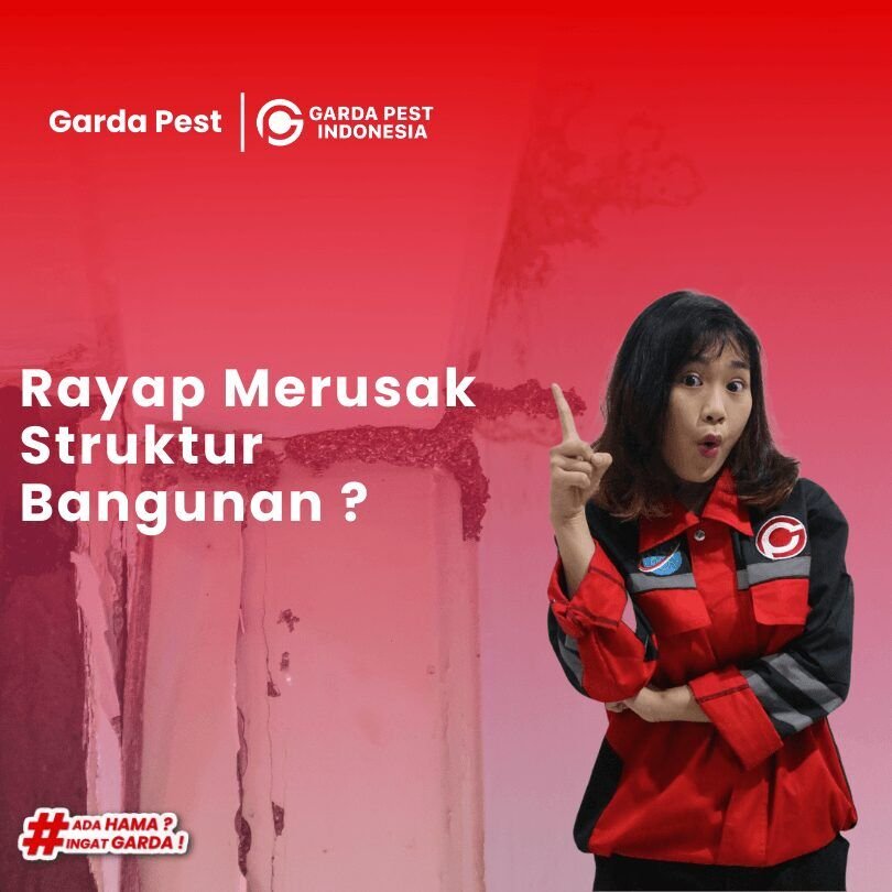 Jasa Anti Rayap Metode Baiting di Jatinangor Terbaik dan Ampuh