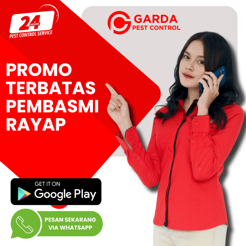 Jasa Pembasmi Rayap Ampuh di Area Cimahi