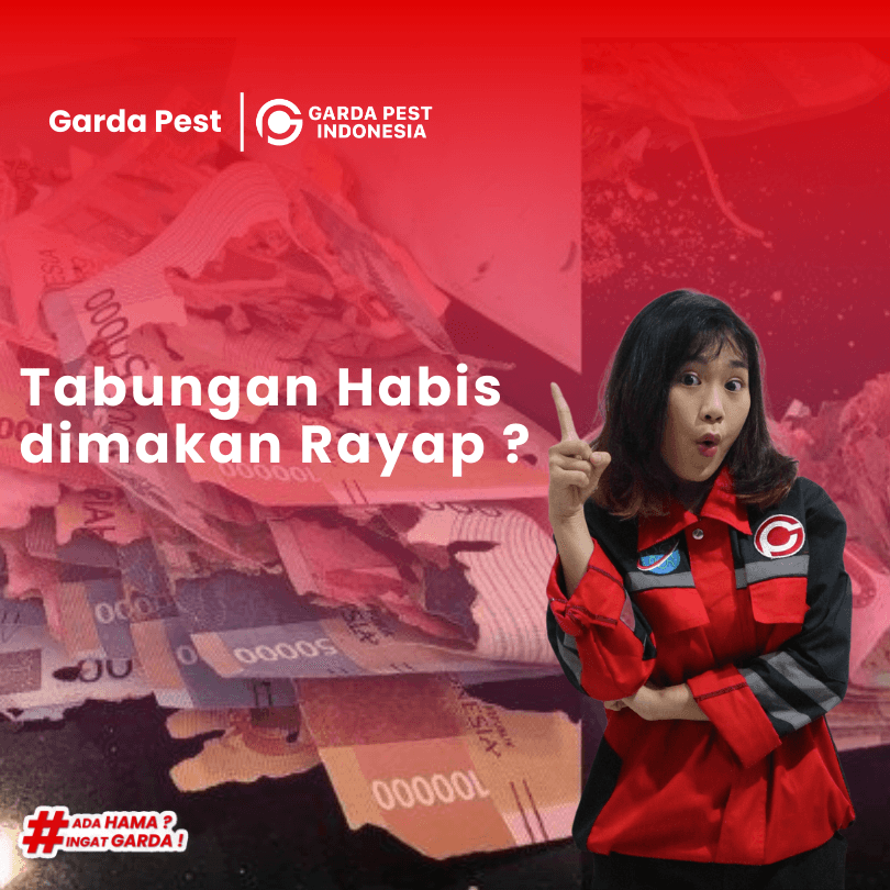 Jasa Pembasmi Rayap di Jagakarsa Jakarta Murah