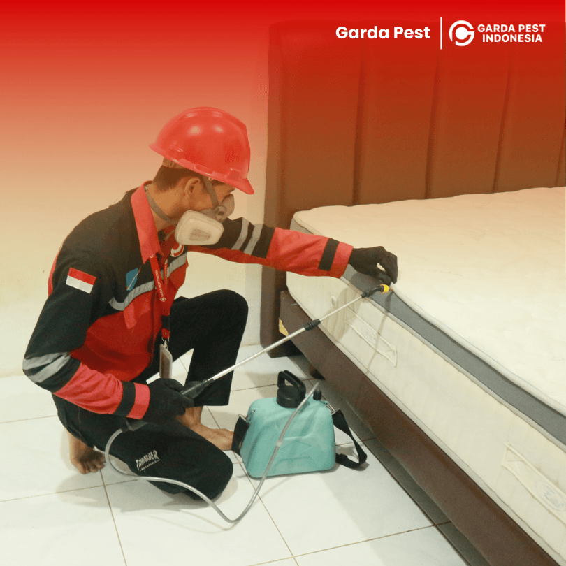 Jasa Pembasmi Kutu Kasur di Tangerang – Solusi Aman Bersama Garda Pest Control