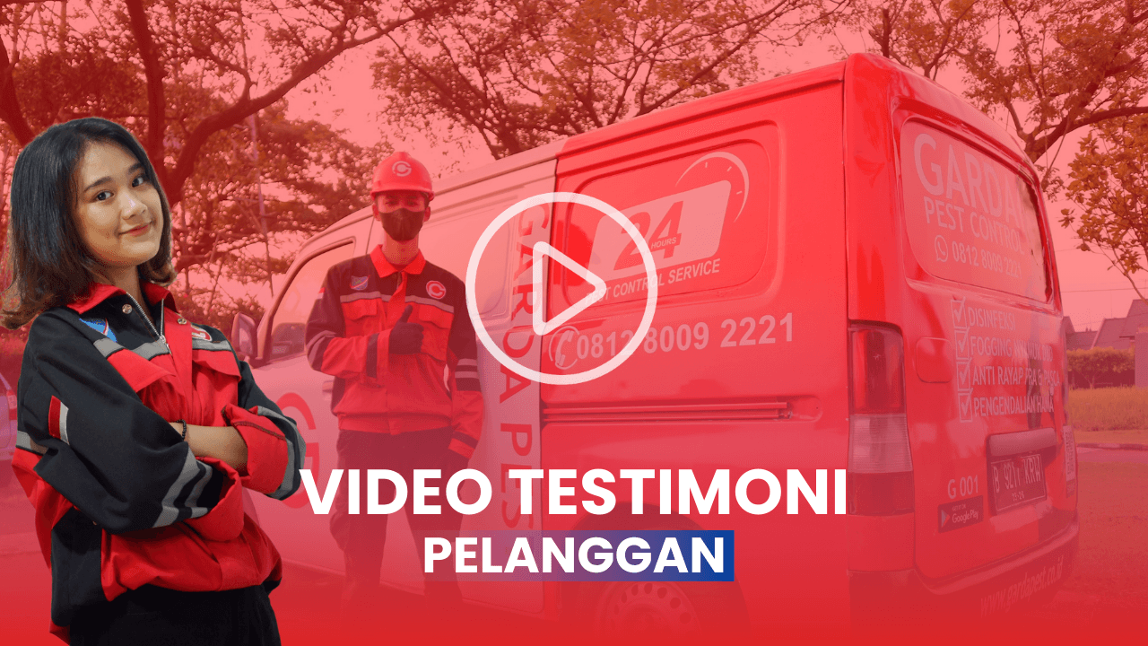 Testimoni Pelanggan