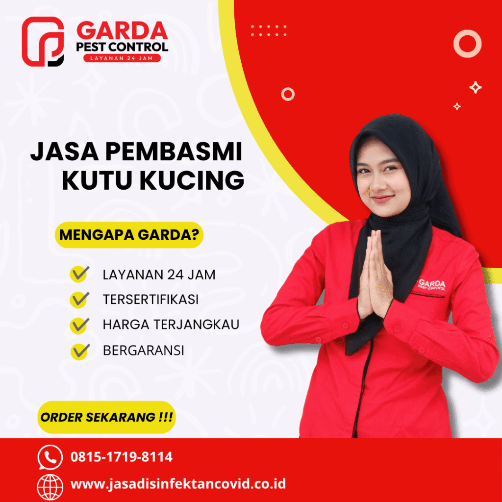Jasa Pembasmi Kutu Kucing di Bantul Yogyakarta Terbaik