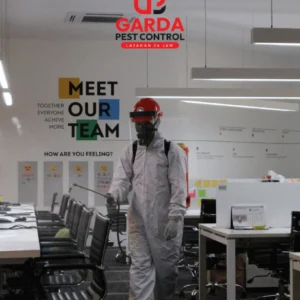 Pest Control Jasa DIsinfeksi Sterilisasi Rumah dan Kantor