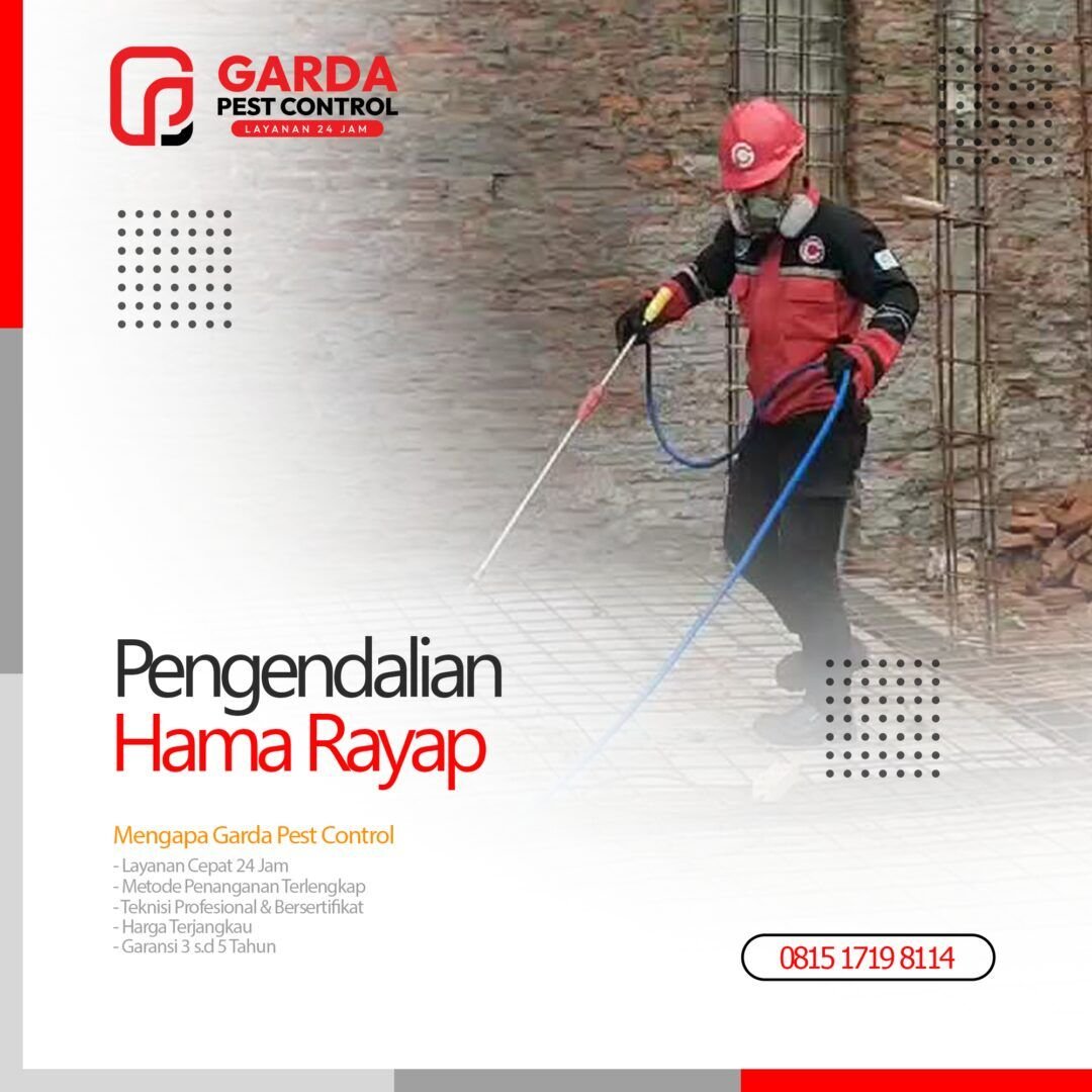 Jasa Anti Rayap di Purwokerto Terbaik Bagi Anda