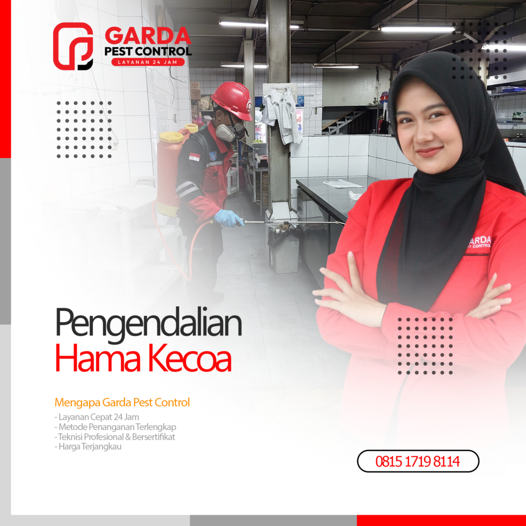 Jasa Pembasmi Kecoa Terdekat di Lombok Ahlinya Basmi Hama