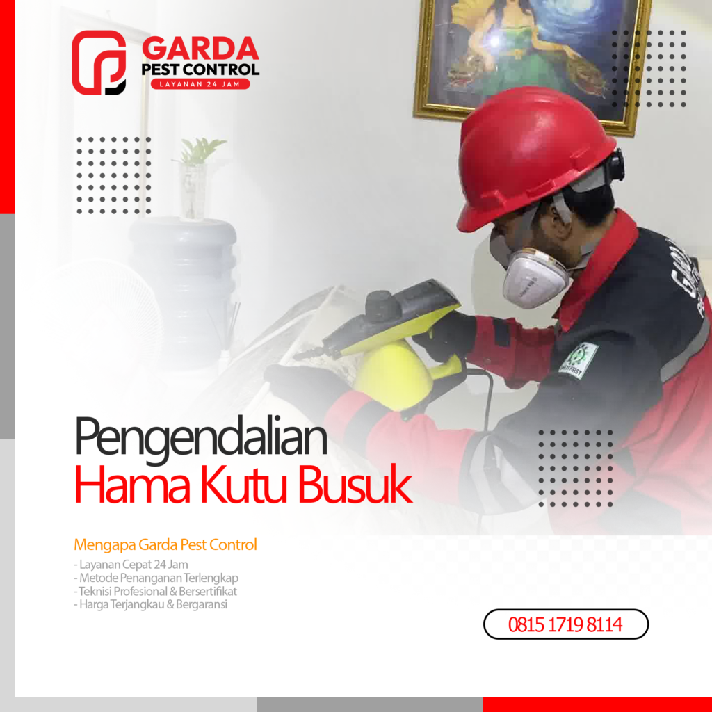 Jasa Pembasmi Kutu Kasur di Purbalingga Dijamin Tuntas