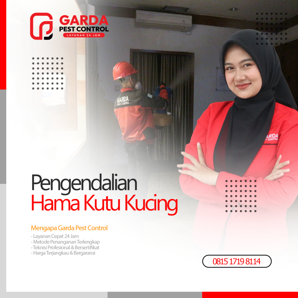 Jasa Pembasmi Kutu Kucing Lombok Ahlinya Bami Hama