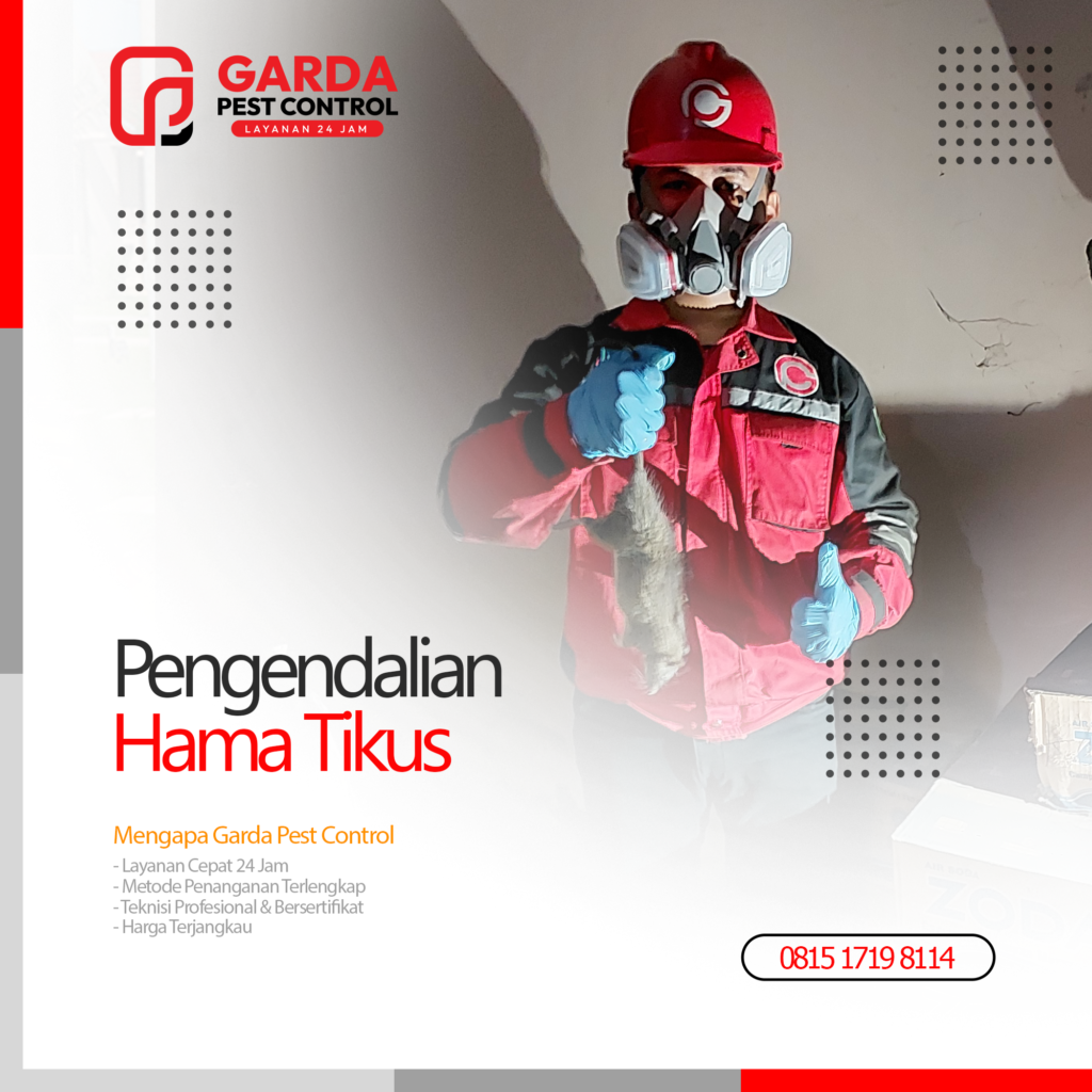 Jasa Pembasmi Tikus di Cilacap Harga Murah Tahun 2026