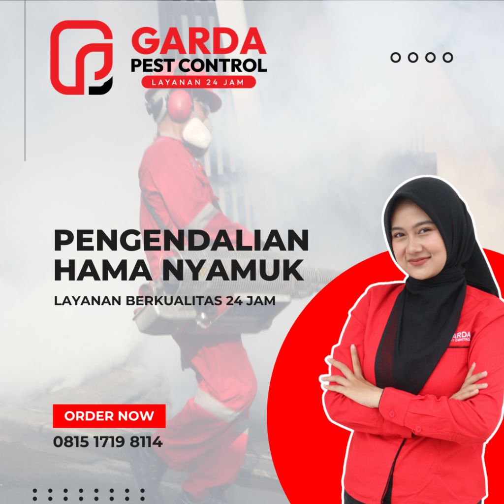 Jasa Fogging Nyamuk di Malang #1 Terbaik di Jawa Timur