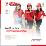Pest Control di Kota Jogja | Ahli Jasa Disinfektan No.1