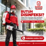 Berapa Biaya Jasa Disinfektan di Jakarta Timur, Harga Jasa Disinfektan Rumah di Jakarta Timur, Jasa Disinfektan di Jakarta Timur, Jasa Disinfektan Profesional di Jakarta, Jasa Disinfektan Terdekat di Jakarta Timur
