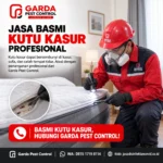 Jasa Pembasmi Kutu Kasur Jogja Basmi Kutu Sampai Tuntas